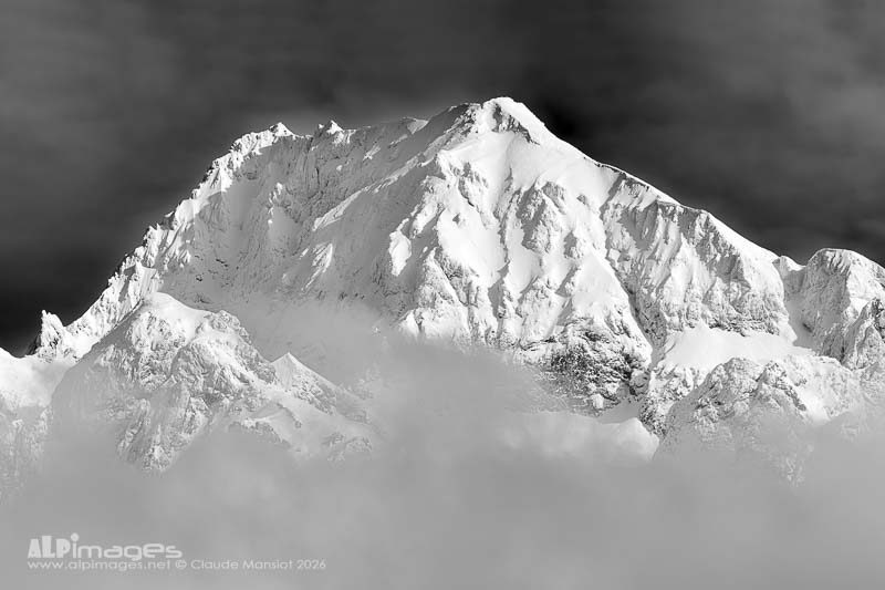 Neige fraiche