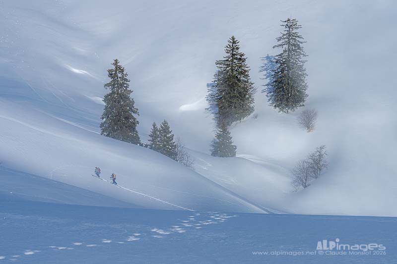 Neige et brouillard