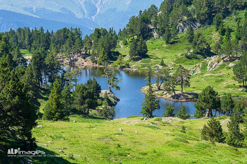 Lac Achard