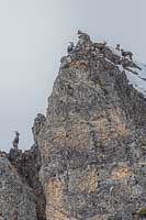 Bouquetins vertacom...