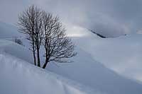Neige et brouillard
