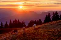 Couleurs du soir